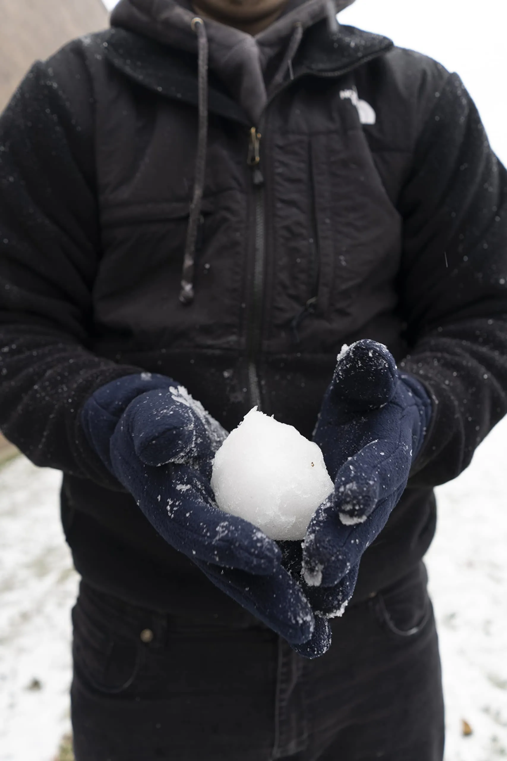 Insulated Polar Fleece Gloves