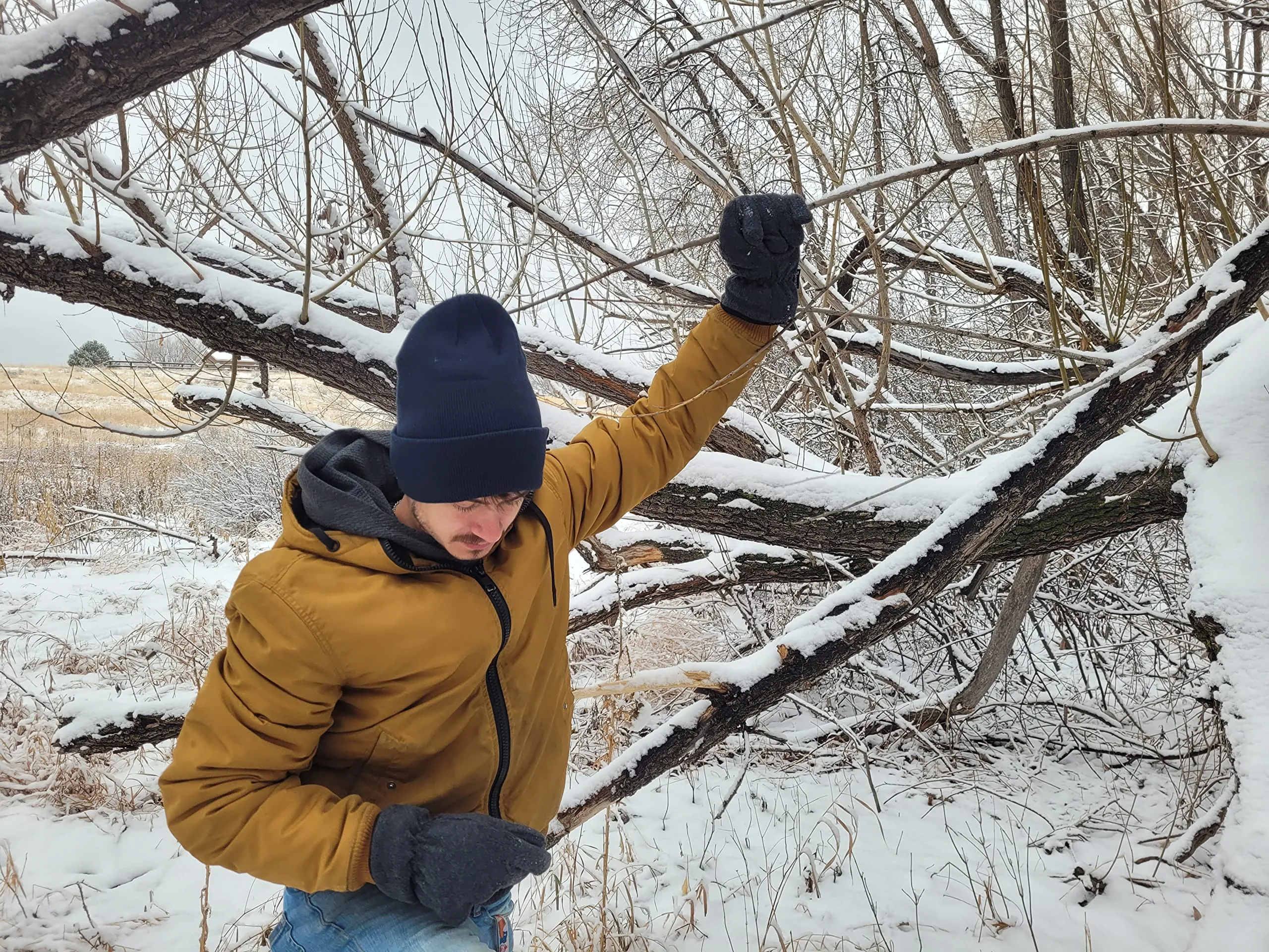 Insulated Polar Fleece Gloves